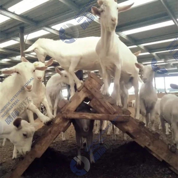 prefab sheep farming shed4